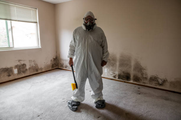Best Mold Testing  in Warren, OH