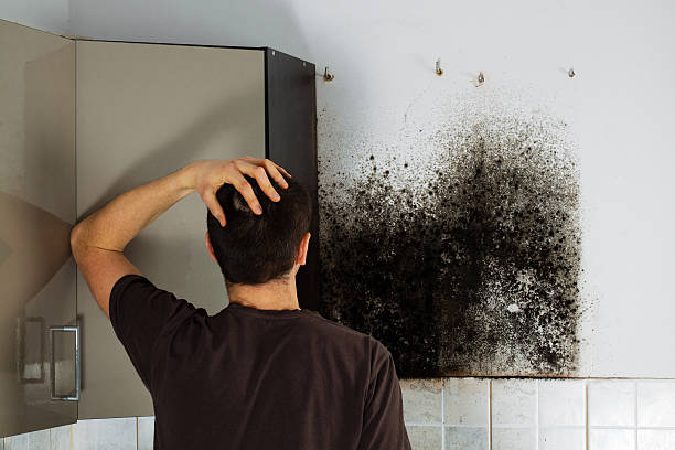Certified Mold Removal in Warren, OH